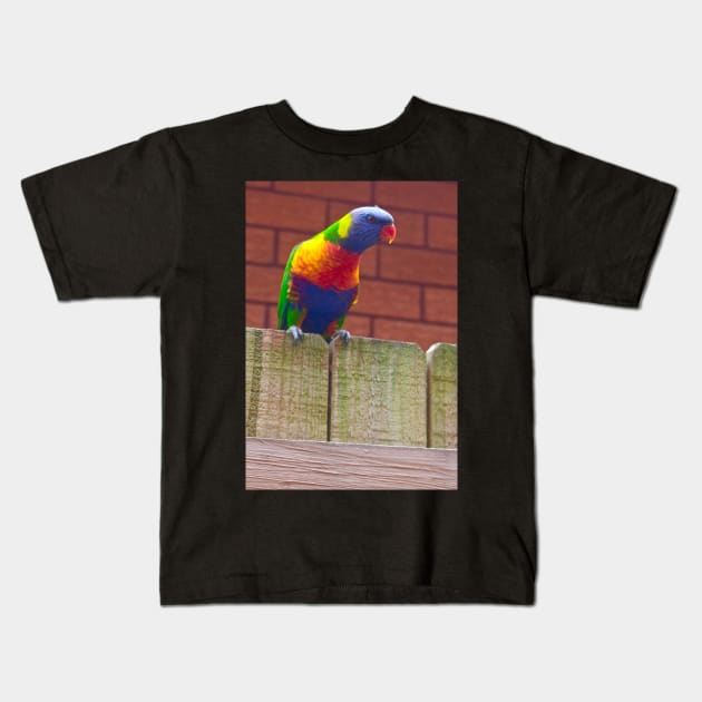 The Rainbow Lorikeet! Kids T-Shirt by Mickangelhere1